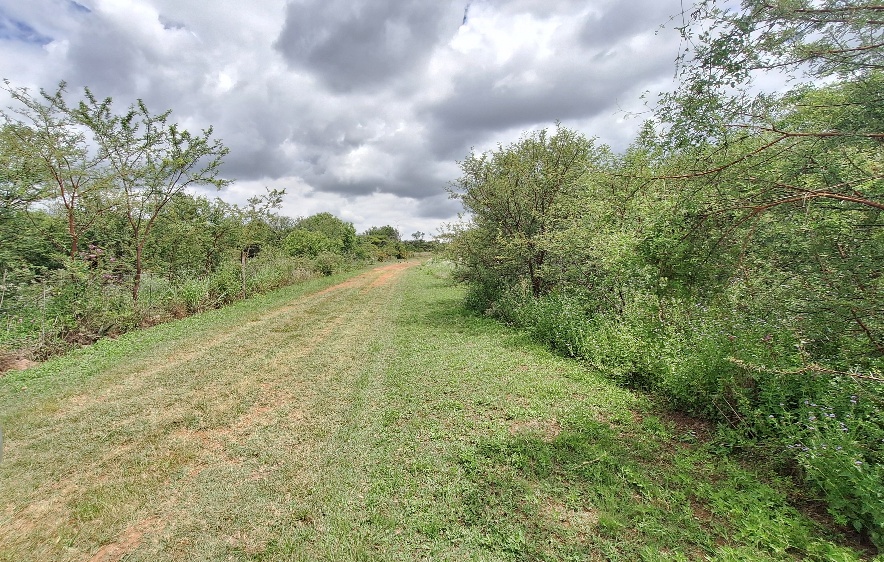 0 Bedroom Property for Sale in Roodeplaat Gauteng