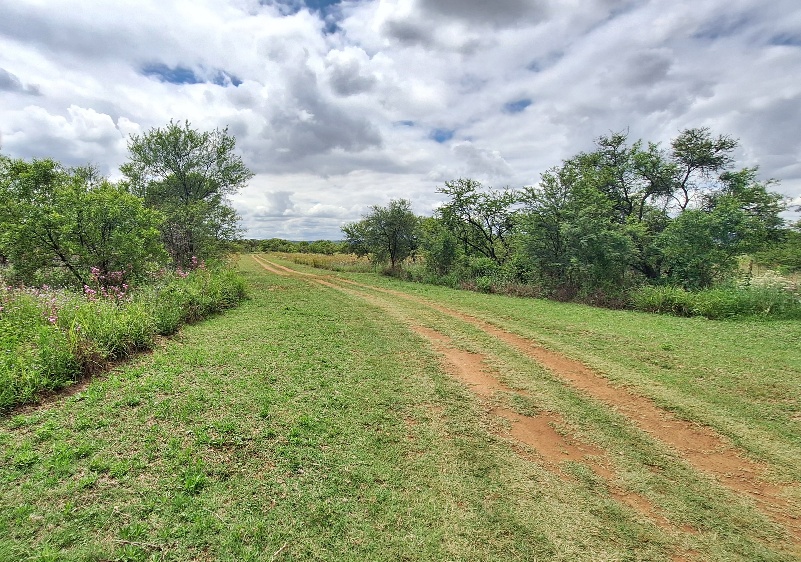 0 Bedroom Property for Sale in Roodeplaat Gauteng