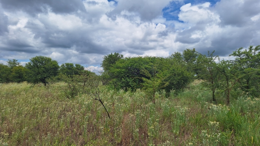 0 Bedroom Property for Sale in Roodeplaat Gauteng