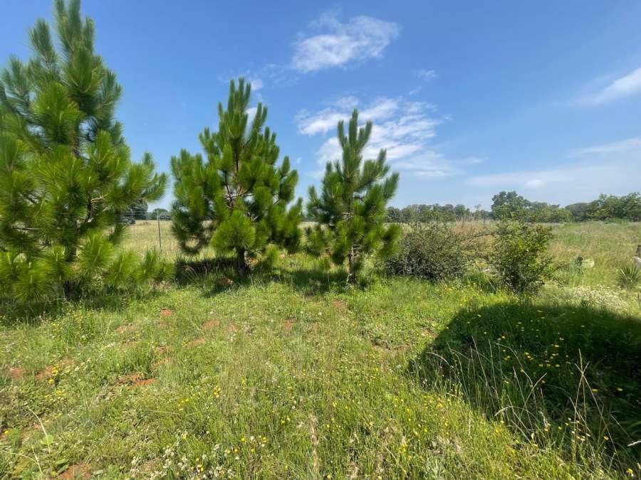 5 Bedroom Property for Sale in Homestead Apple Orchards Gauteng