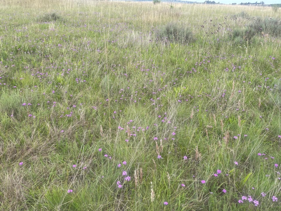 0 Bedroom Property for Sale in Hartzenbergfontein Gauteng