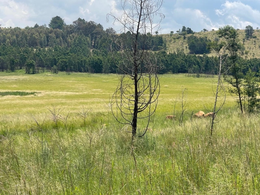 0 Bedroom Property for Sale in Nooitgedacht AH Gauteng