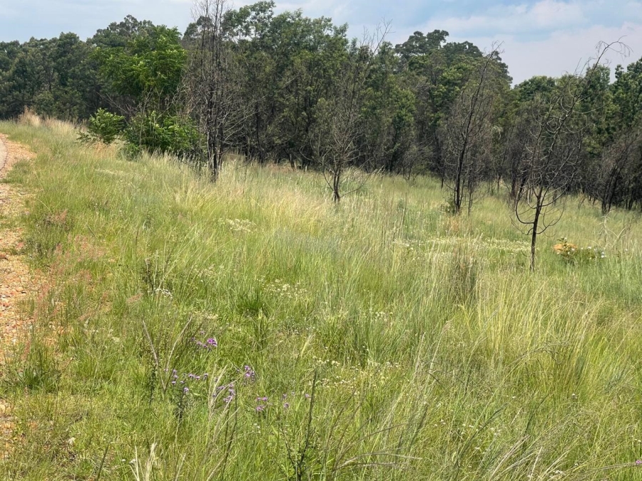 0 Bedroom Property for Sale in Nooitgedacht AH Gauteng