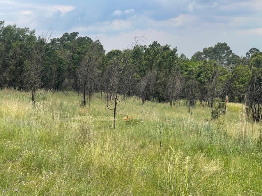 0 Bedroom Property for Sale in Nooitgedacht AH Gauteng