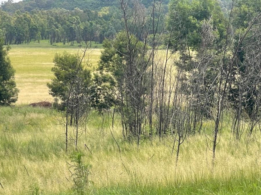 0 Bedroom Property for Sale in Nooitgedacht AH Gauteng