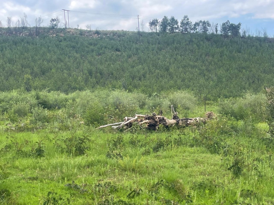 0 Bedroom Property for Sale in Nooitgedacht AH Gauteng