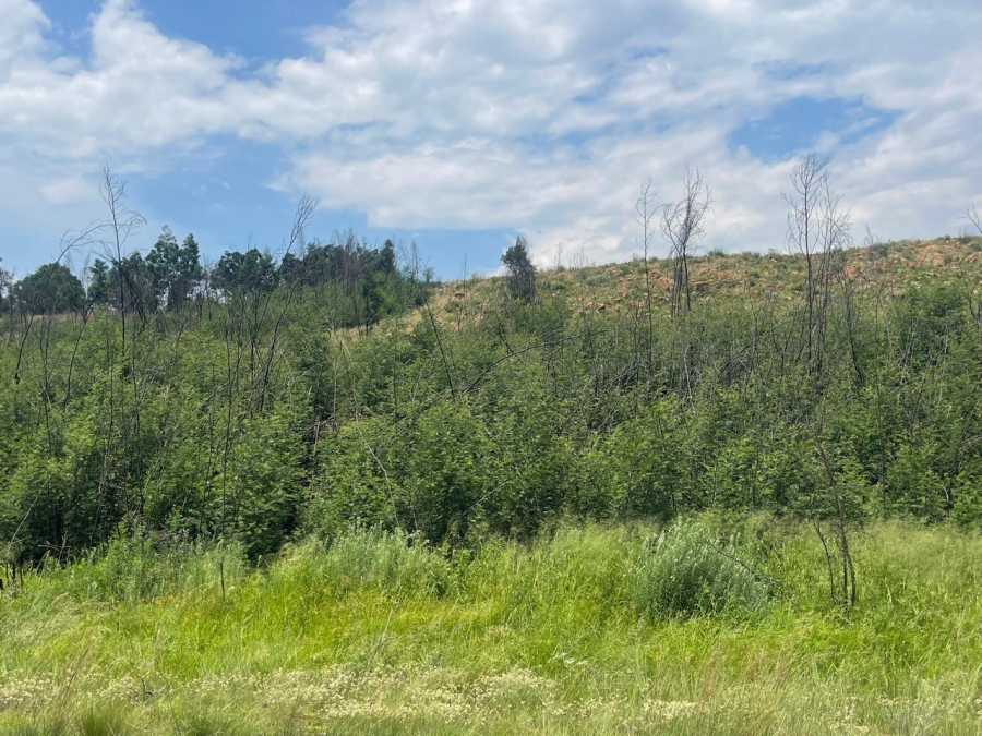 0 Bedroom Property for Sale in Nooitgedacht AH Gauteng