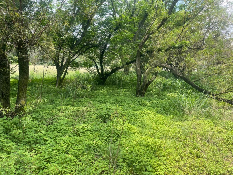 0 Bedroom Property for Sale in Walker Fruit Farms Gauteng