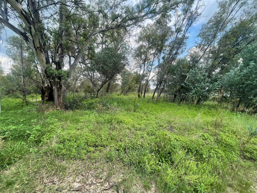 0 Bedroom Property for Sale in Walker Fruit Farms Gauteng