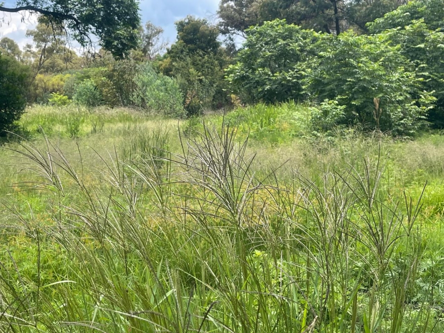 0 Bedroom Property for Sale in Walker Fruit Farms Gauteng