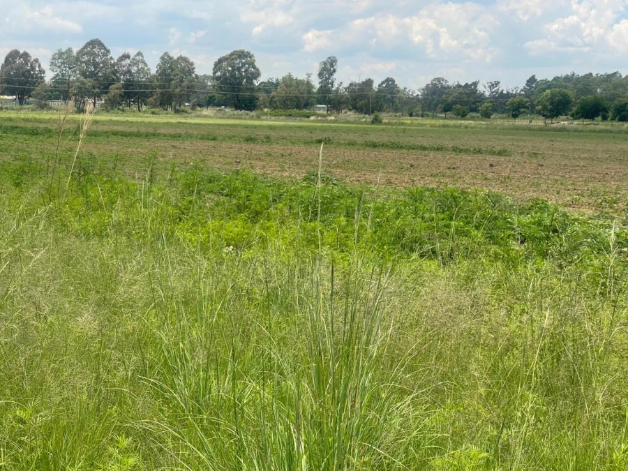 0 Bedroom Property for Sale in Walker Fruit Farms Gauteng