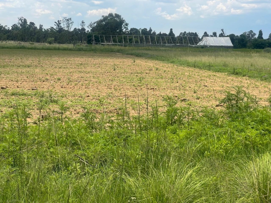 0 Bedroom Property for Sale in Walker Fruit Farms Gauteng