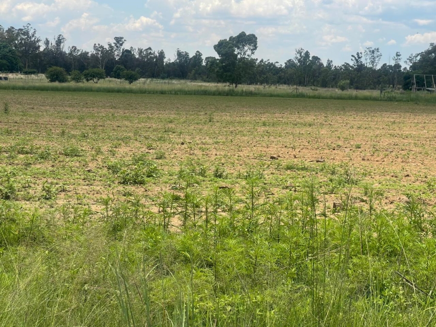 0 Bedroom Property for Sale in Walker Fruit Farms Gauteng