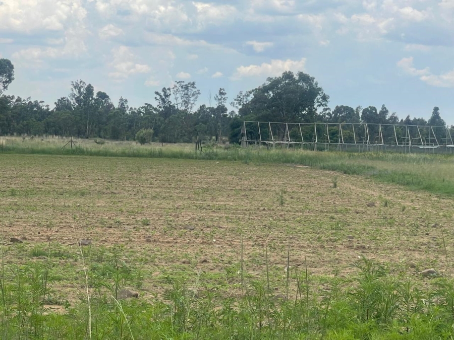 0 Bedroom Property for Sale in Walker Fruit Farms Gauteng