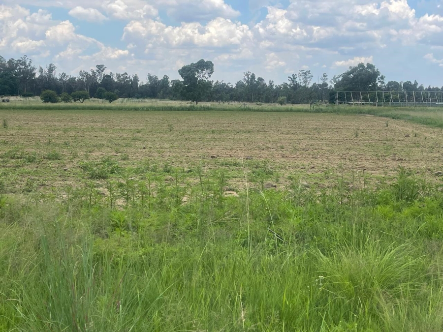 0 Bedroom Property for Sale in Walker Fruit Farms Gauteng