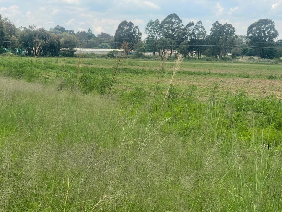 0 Bedroom Property for Sale in Walker Fruit Farms Gauteng