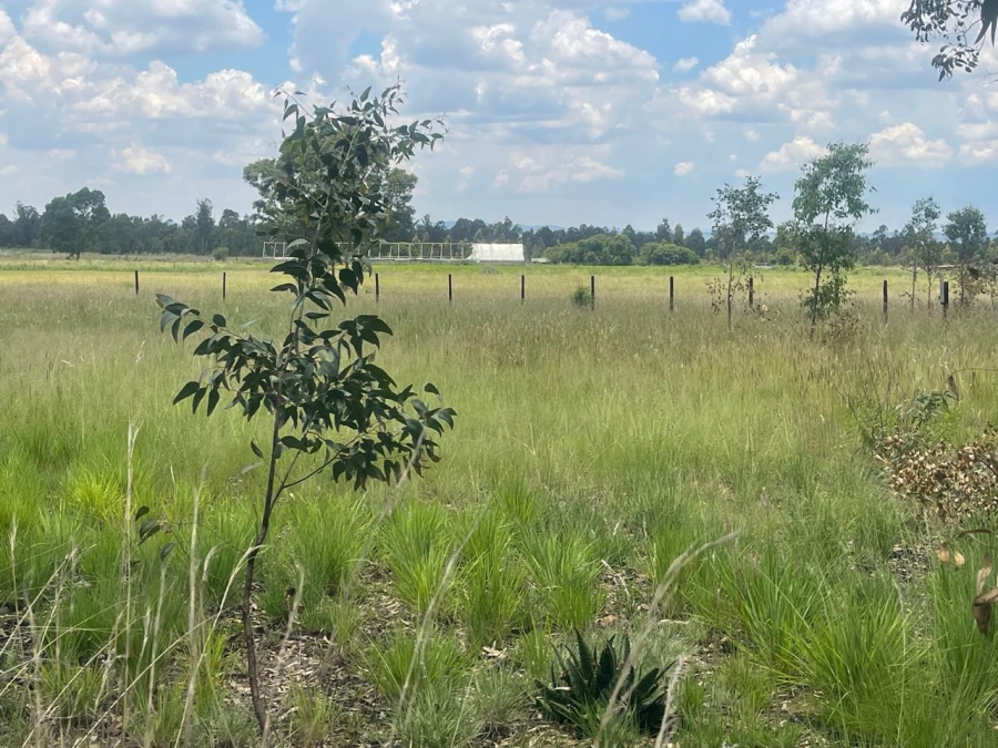 0 Bedroom Property for Sale in Walker Fruit Farms Gauteng