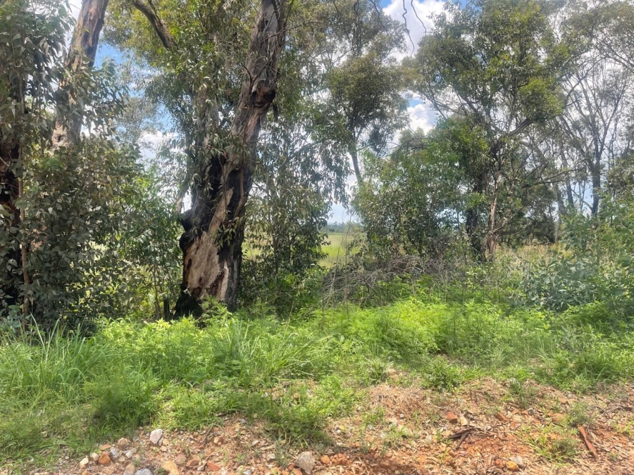 0 Bedroom Property for Sale in Walker Fruit Farms Gauteng