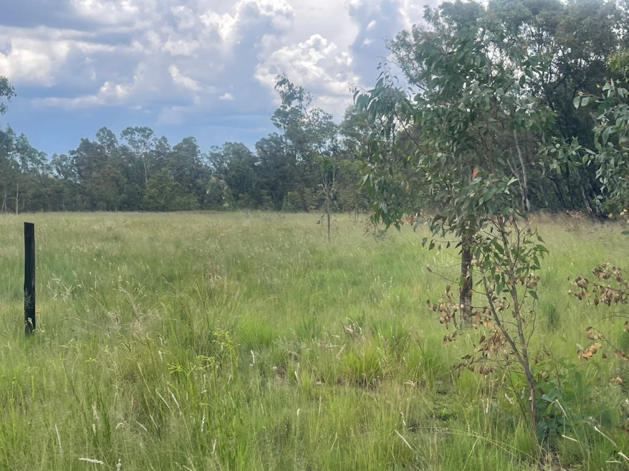 0 Bedroom Property for Sale in Walker Fruit Farms Gauteng