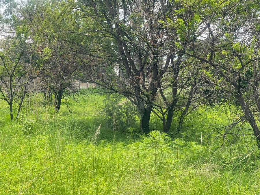 0 Bedroom Property for Sale in Walker Fruit Farms Gauteng