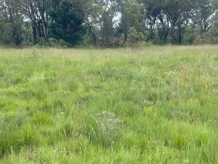 0 Bedroom Property for Sale in Walker Fruit Farms Gauteng