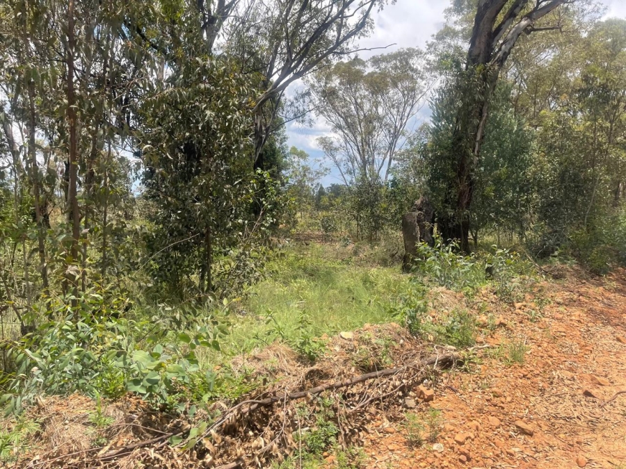 0 Bedroom Property for Sale in Walker Fruit Farms Gauteng