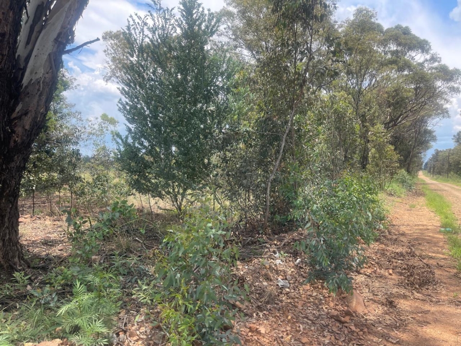 0 Bedroom Property for Sale in Walker Fruit Farms Gauteng