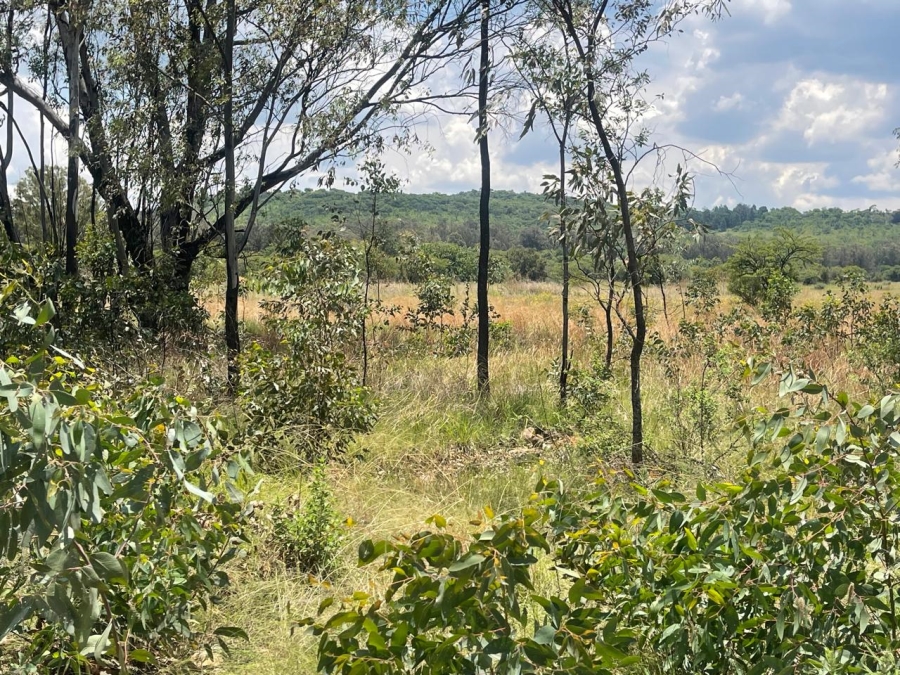 0 Bedroom Property for Sale in Walker Fruit Farms Gauteng