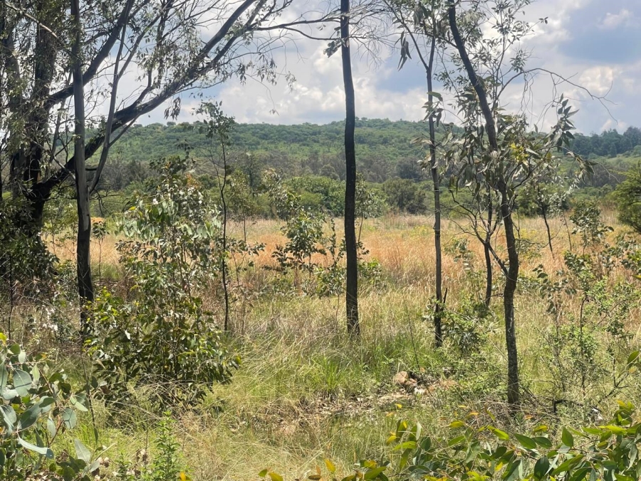 0 Bedroom Property for Sale in Walker Fruit Farms Gauteng