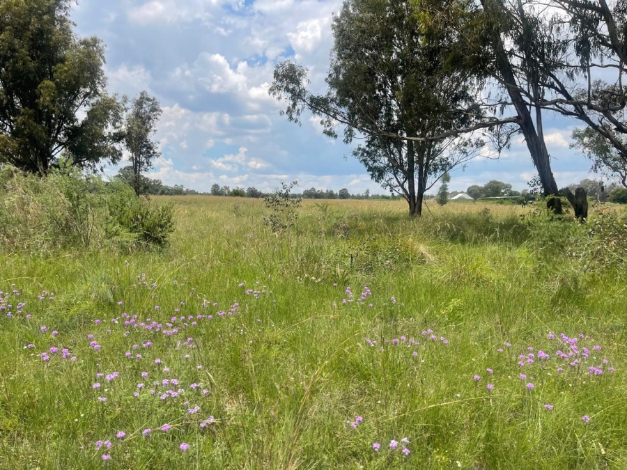 0 Bedroom Property for Sale in Walker Fruit Farms Gauteng