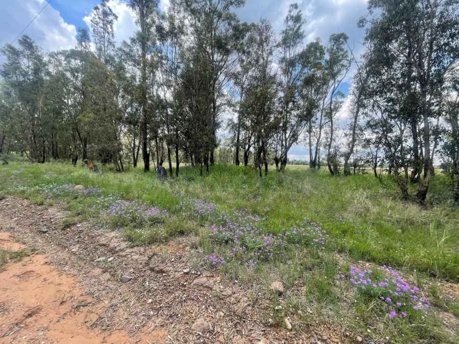 0 Bedroom Property for Sale in Walker Fruit Farms Gauteng