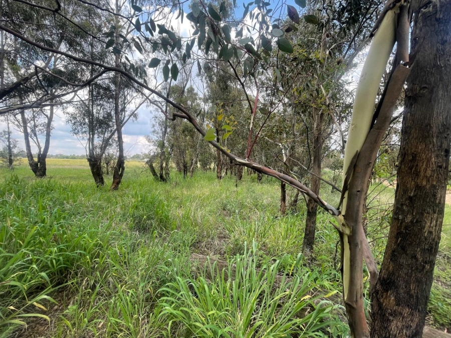 0 Bedroom Property for Sale in Walker Fruit Farms Gauteng