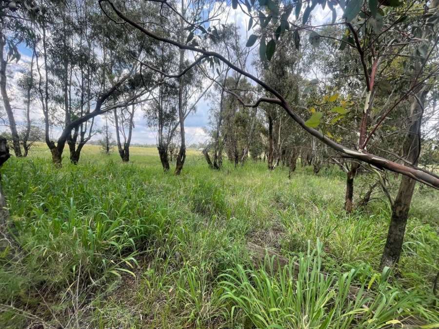 0 Bedroom Property for Sale in Walker Fruit Farms Gauteng