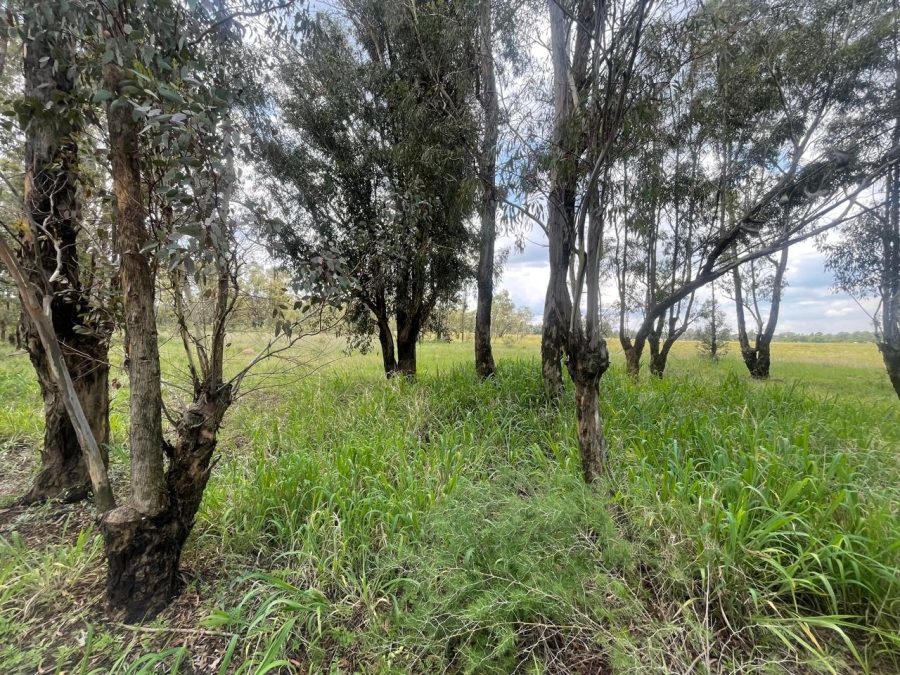 0 Bedroom Property for Sale in Walker Fruit Farms Gauteng