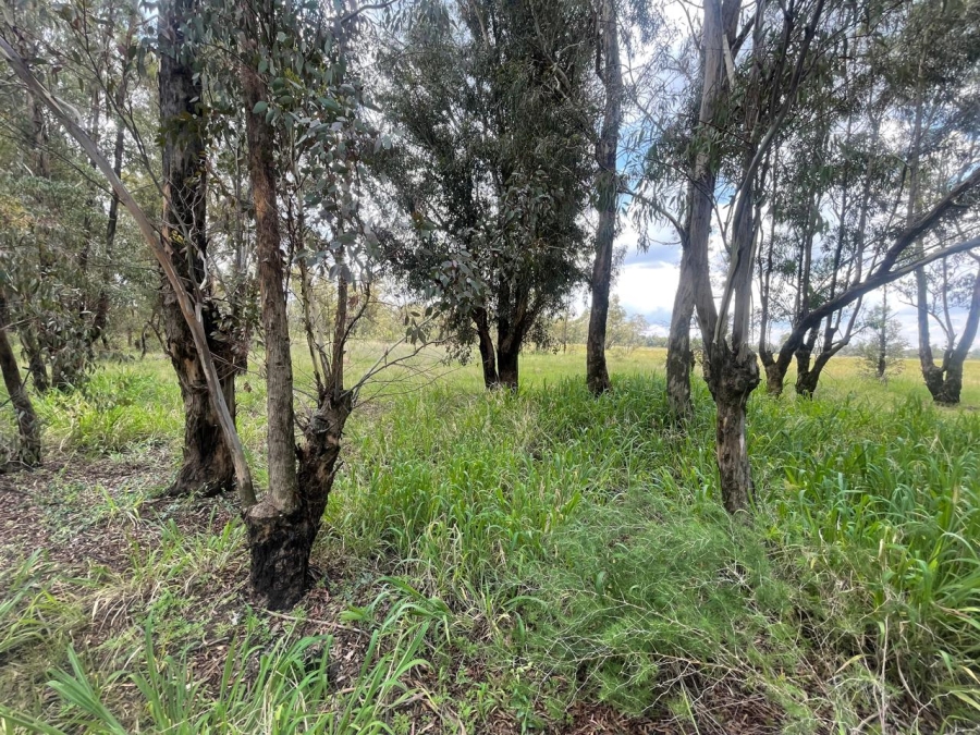 0 Bedroom Property for Sale in Walker Fruit Farms Gauteng