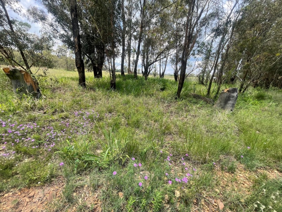 0 Bedroom Property for Sale in Walker Fruit Farms Gauteng