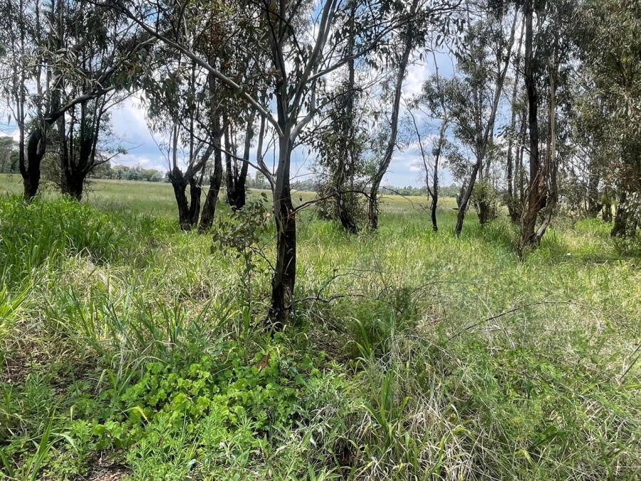 0 Bedroom Property for Sale in Walker Fruit Farms Gauteng