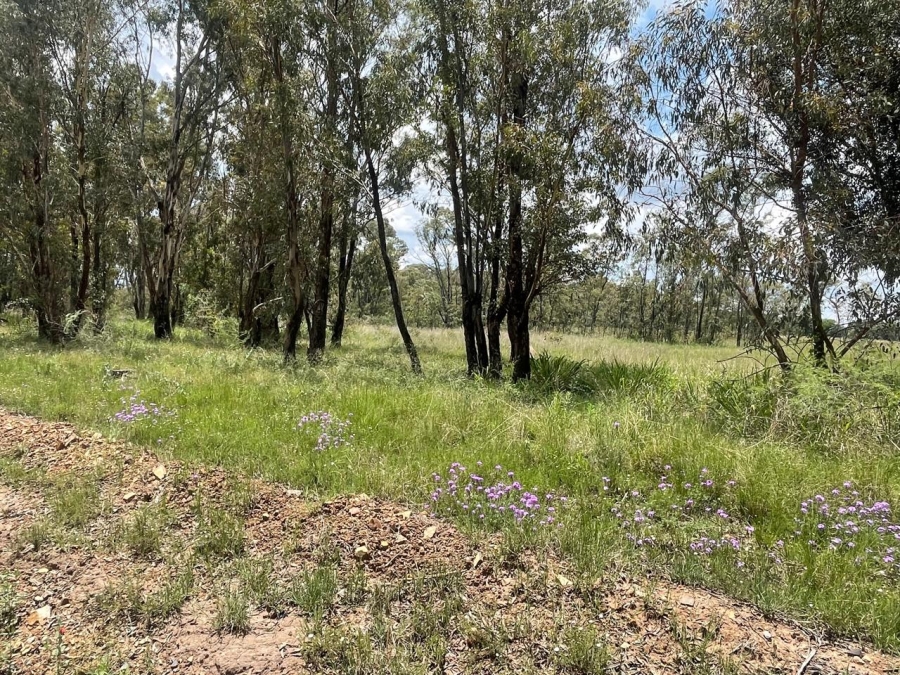 0 Bedroom Property for Sale in Walker Fruit Farms Gauteng