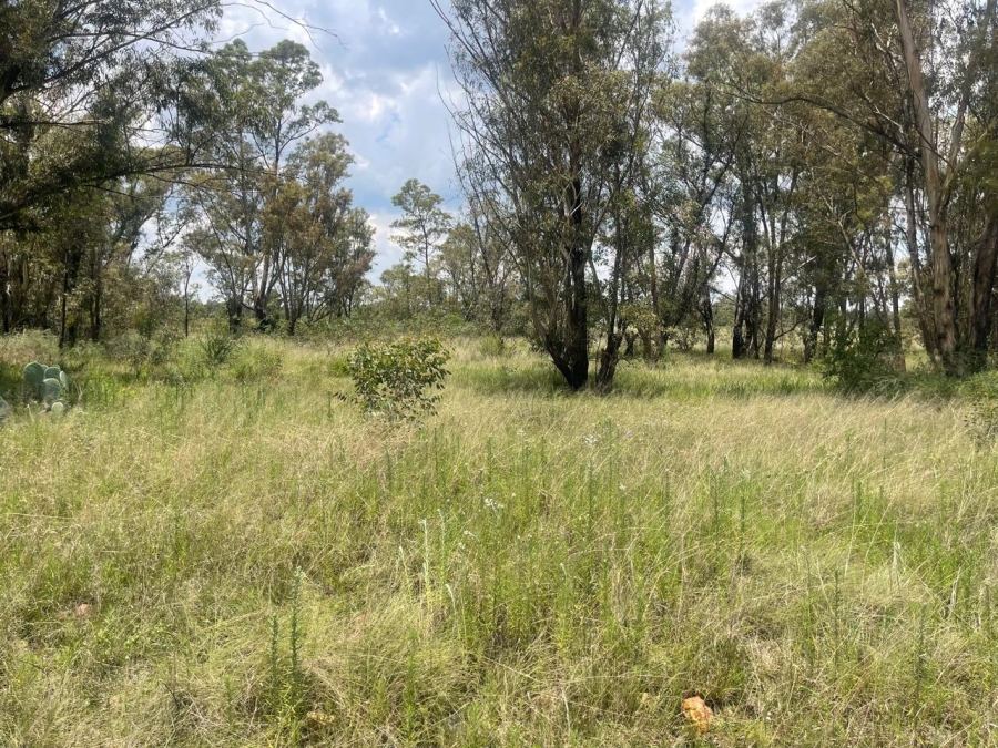 0 Bedroom Property for Sale in Walker Fruit Farms Gauteng