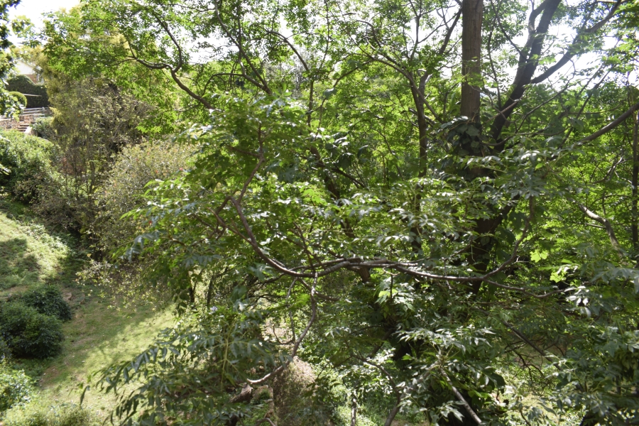 2 Bedroom Property for Sale in Primrose Hill Gauteng