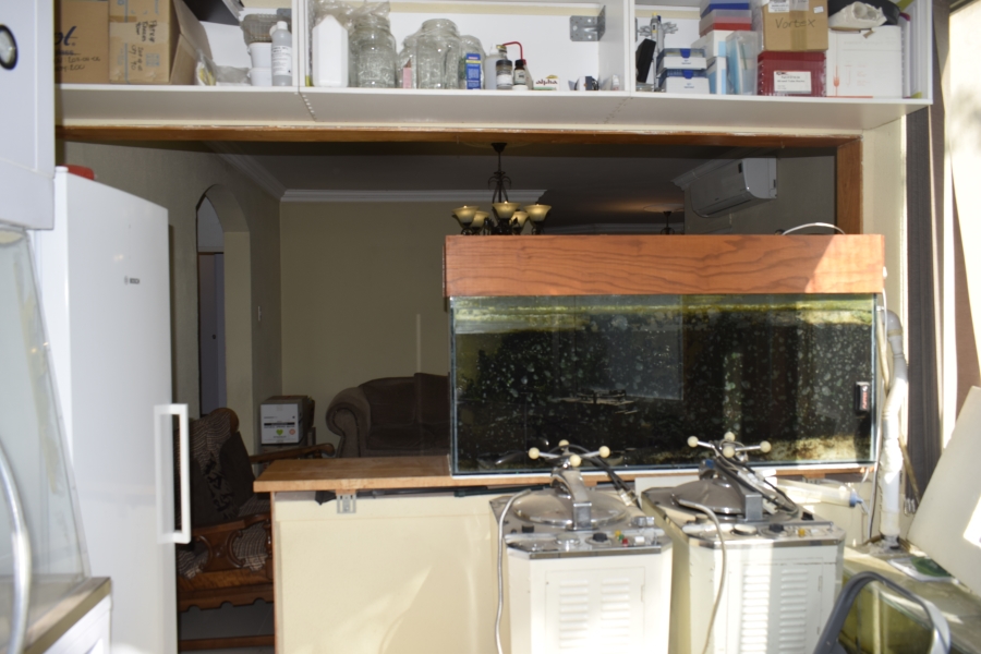 2 Bedroom Property for Sale in Primrose Hill Gauteng