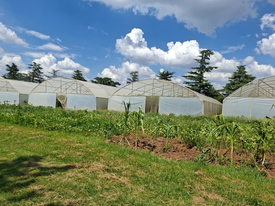 4 Bedroom Property for Sale in Northdene Gauteng