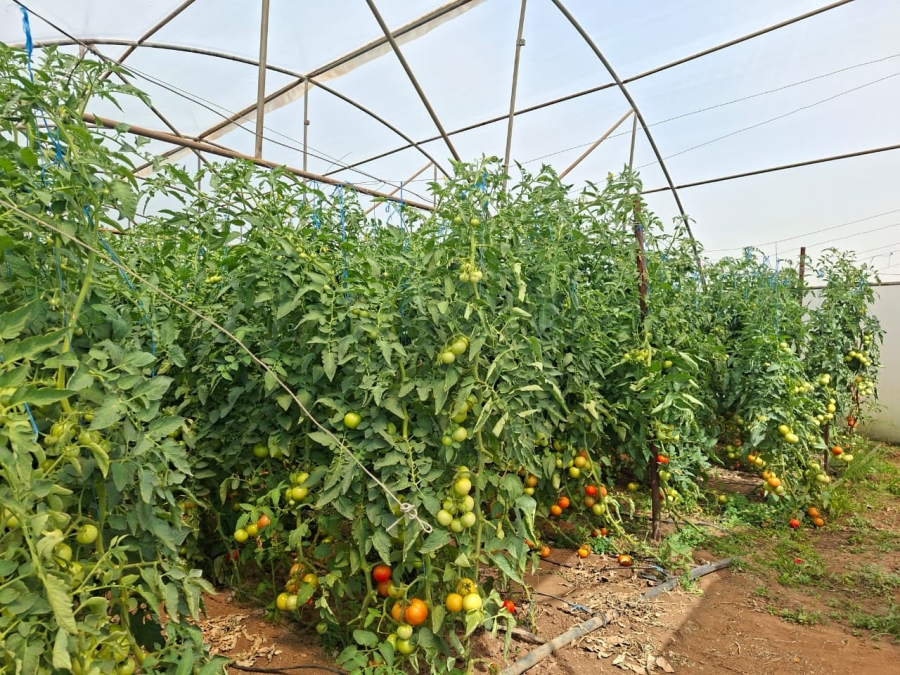 4 Bedroom Property for Sale in Northdene Gauteng