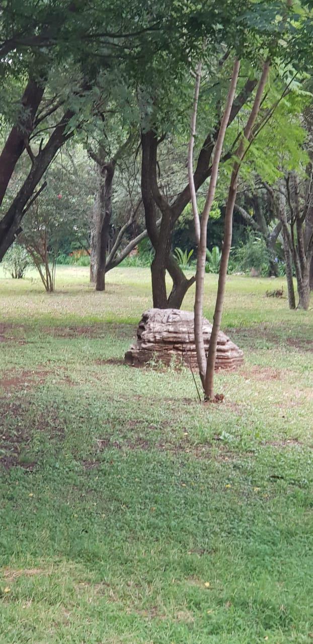 4 Bedroom Property for Sale in Knoppieslaagte Gauteng