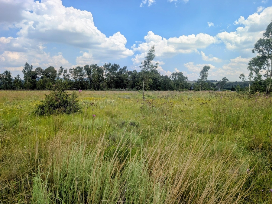 0 Bedroom Property for Sale in Blue Saddle Ranches Gauteng