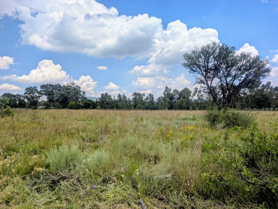 0 Bedroom Property for Sale in Blue Saddle Ranches Gauteng