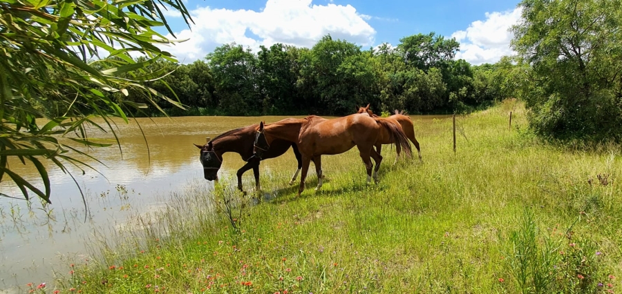 Commercial Property for Sale in Laezonia Gauteng