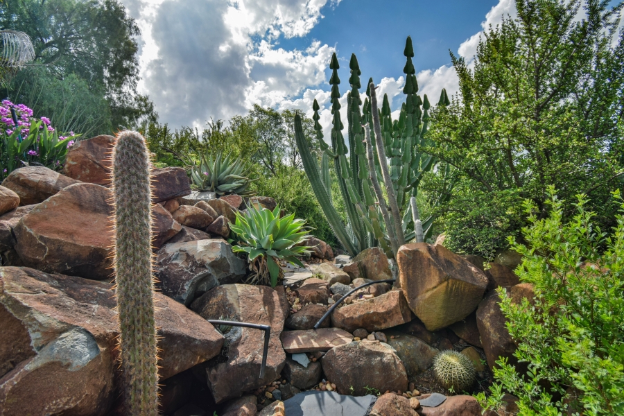 4 Bedroom Property for Sale in Tijger Valley Gauteng