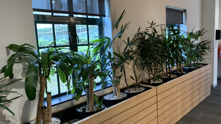 To Let commercial Property for Rent in Linbro Park Gauteng