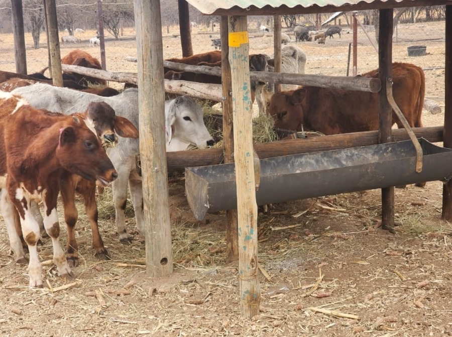 9 Bedroom Property for Sale in Pretoria North Gauteng